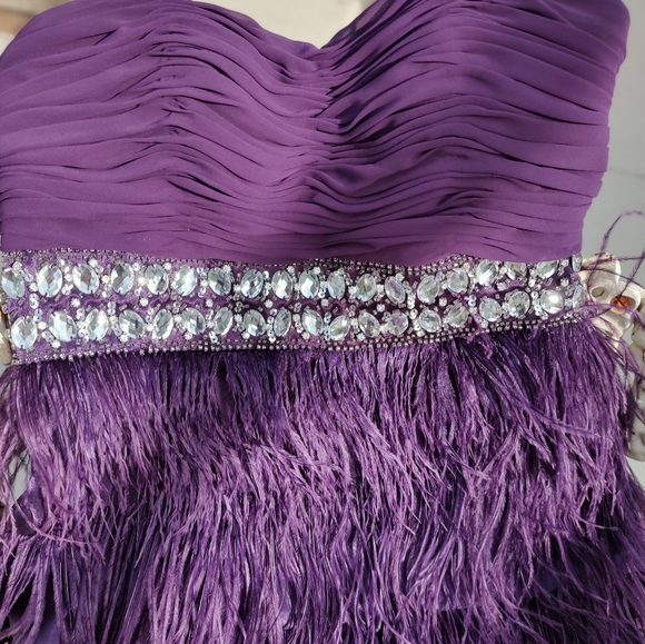 Beautiful feather and Rhinestone Dress - Picture 8 of 11